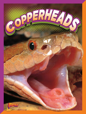 cover image of Copperheads